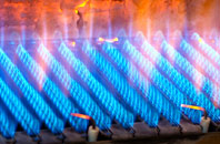 Backe gas fired boilers